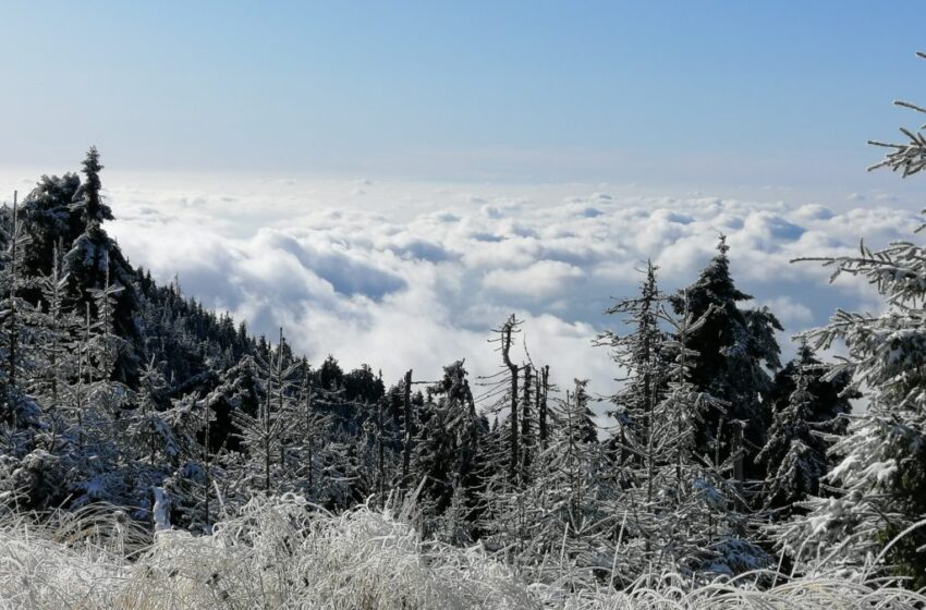  Temperatura a scăzut azi noapte până la -2.6°C, în zona montană a județului Bistrița-Năsăud