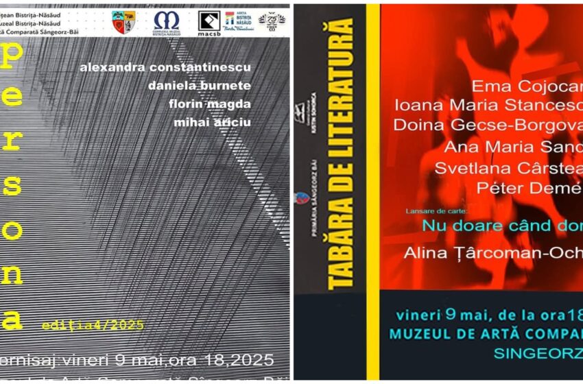  Expoziția de pictură și sculptură „PERSONA”, la la Muzeul de Artă Comparată din Sîngeorz-Băi. FOTO