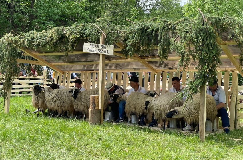  Sărbătoarea Străbunilor-Măsura laptelui, pe 25 mai, în Lunca lui Ianăș, la Sângeorz-Bai