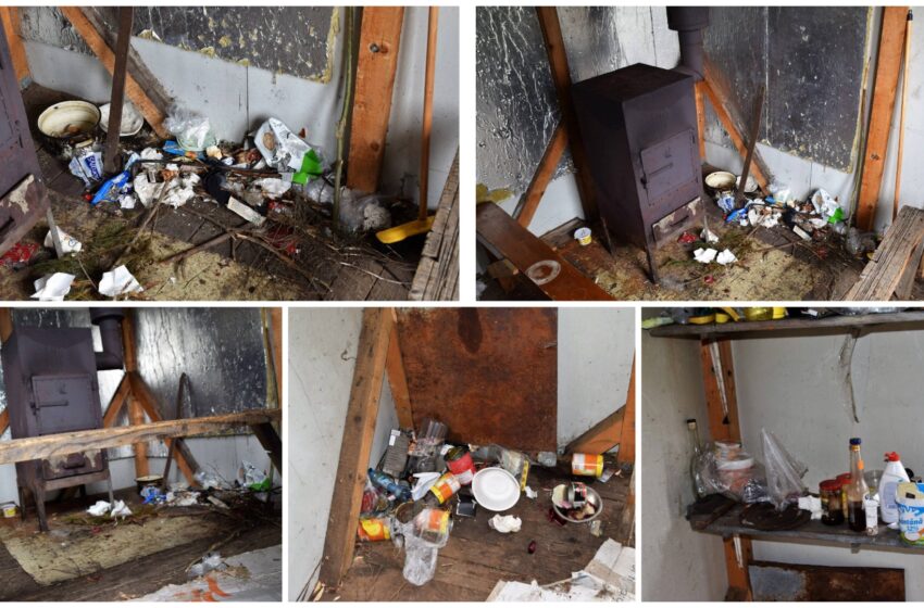  Mizerie de nedescris lasată de turiști la Refugiul din Bistricior. FOTO