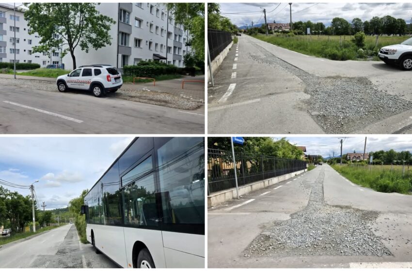  Poliția Locală Bistrița continuă sancțiunile aplicate pentru obligativitatea refacerii carosabilului. FOTO