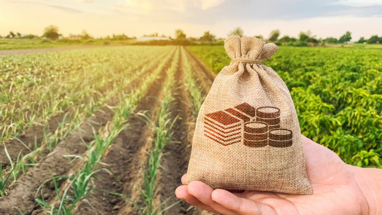  Campania de depunere a cererilor de plată în sectorul vegetal și zootehnic aferente anului 2025 continuă și în aceste zil