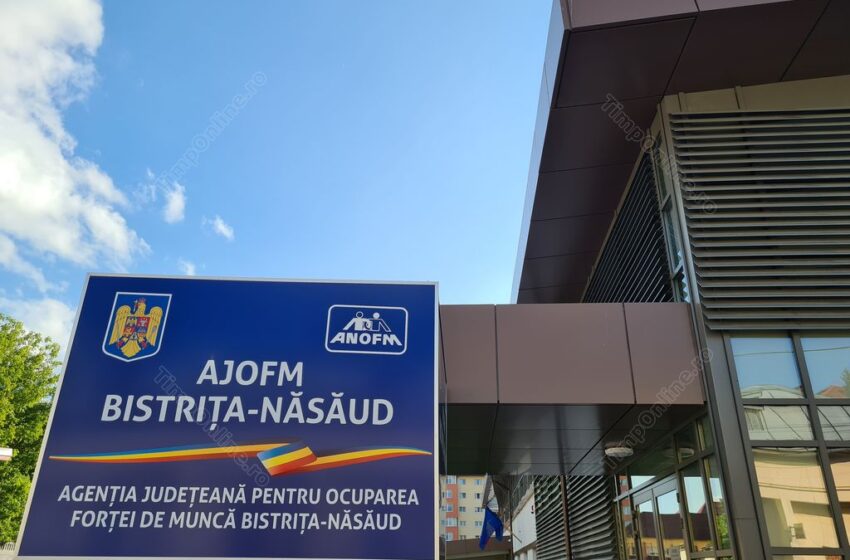  Află cât e rata şomajului înregistrat în evidenţele AJOFM Bistriţa – Năsăud în luna martie 2025