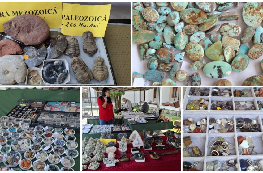  În acest weekend puteți admira expoziția „Salonul de minerale, fosile și geme” de la  Complexul Muzeal Bistrița-Năsăud. FOTO
