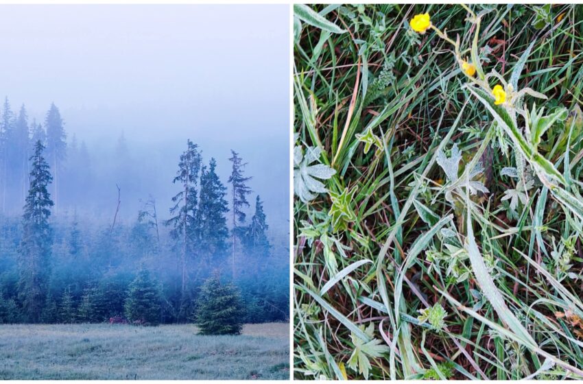  Noapte rece la Lunca Ilvei unde s-au înregistrat doar 3,8°C! FOTO