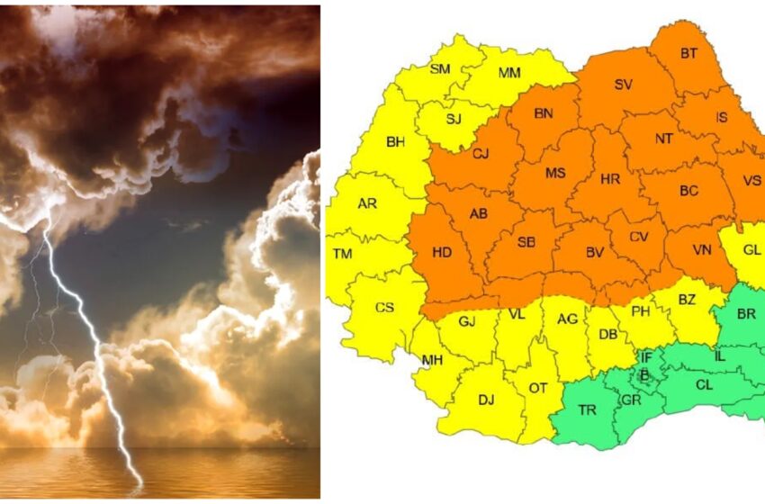 COD PORTOCALIU de FURTUNI în Bistrița-Năsăud