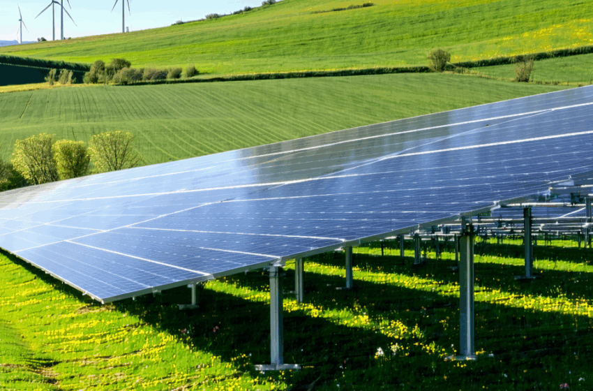  Contractul de finanțare pentru parcul de panouri solare de la Sărata a fost semnat. Valoarea sa este de 25,3 milioane de lei
