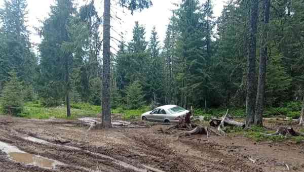  A intrat cu mașina pe un drum forestier izolat din Munții Rodnei și s-a rătăcit