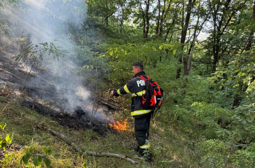 Incendiu la fondul forestier din Beudiu. FOTO