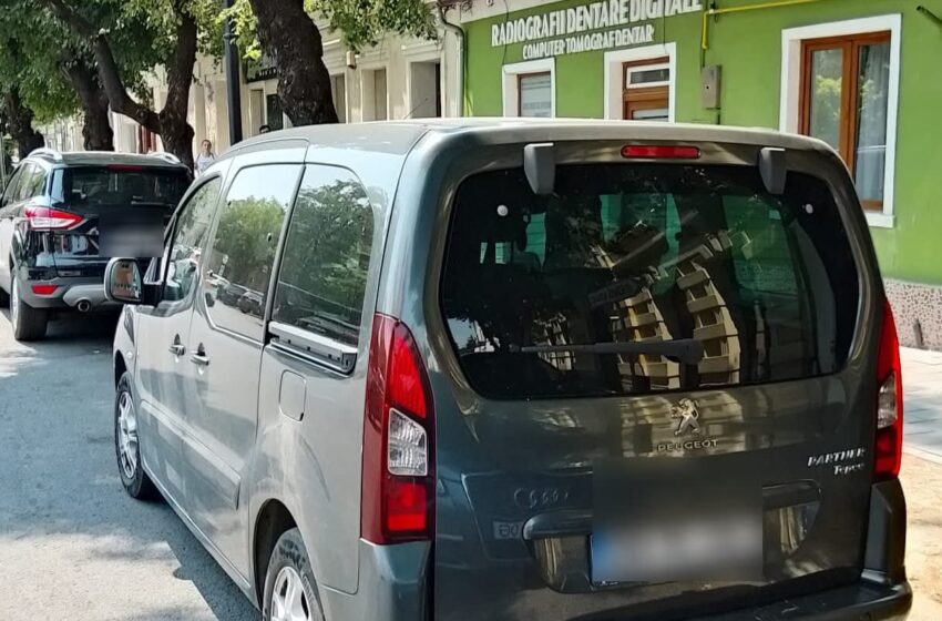  25 de sancțiuni cu avertisment și 17 amenzi în urma controalelor Poliției Locale pe Linia Verde și Axa de transport. FOTO