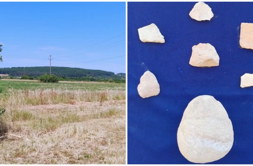  Descoperire arheologică remarcabilă la castrul roman de la Livezile: un proiectil de piatră și cercetări avansate pe ceramică romană. FOTO