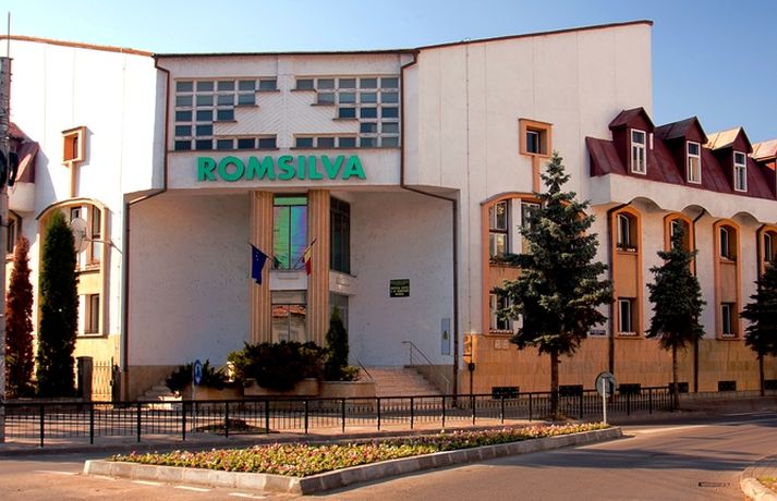  Cu pierderi financiare 5 ani consecutiv, la Direcția Silvică Bistrița-Năsăud s-au acordat prime