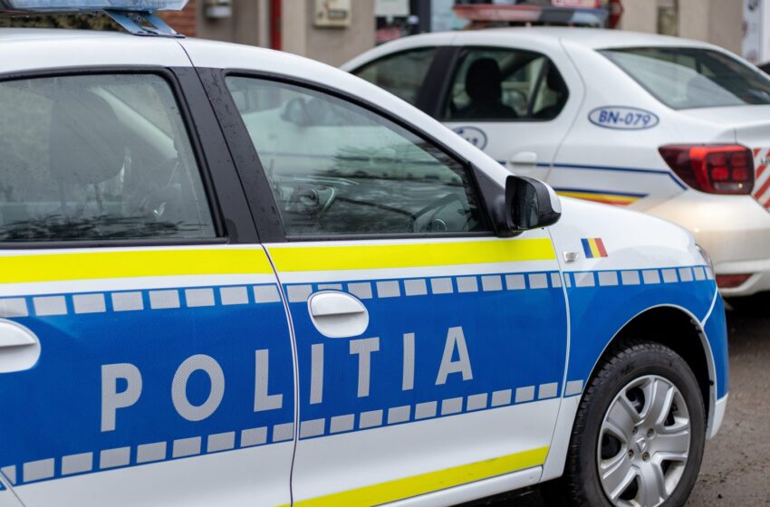  O tânără a intrat în stâlp, după ce a evitat o căprioară la Budești
