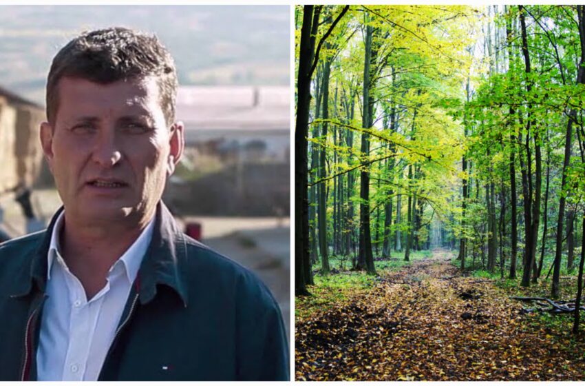  Antreprenorul Ovidiu Ciuruș vrea să planteze o pădure de 13,75 hectare lângă Lechința