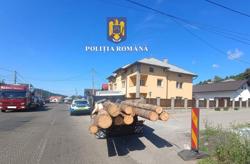  Bărbat prins cu o remorcă cu lemne fără acte. Bărbatul nu avea permis și mașina avea numere false