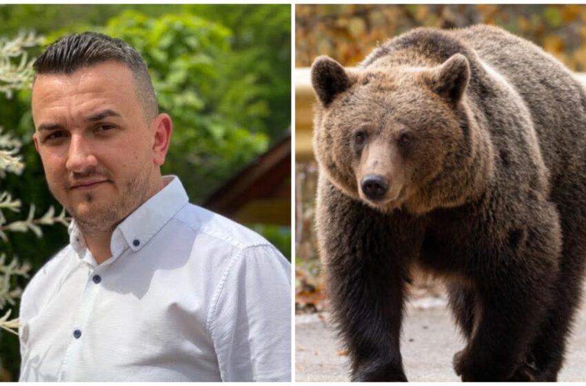  Urs semnalat azi noapte în localitatea Dobric din comuna Căianu Mic