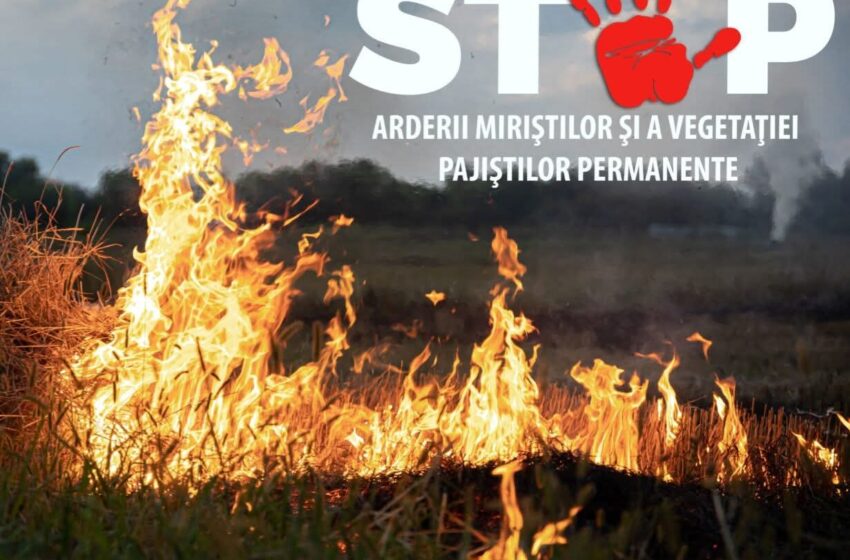  Atenție la arderea resturilor vegetale! Puteți primi amenzi usturătoare
