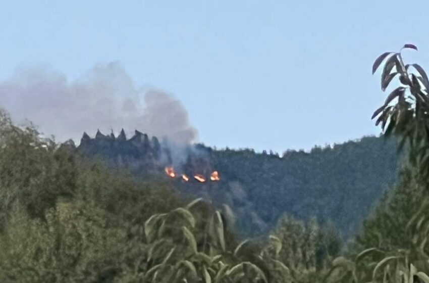  Incendiu de pădure în zona vîrfului Miroslava (muntele Oala) din Bistrița-Bârgăului