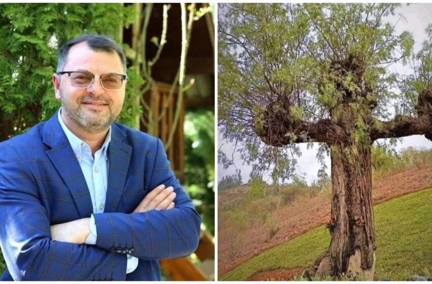  Sorin Hangan: Astăzi este duminică. Este despre credință. Este și Ziua Limbii Române. Nu, nu este o coincidență. Este fericire