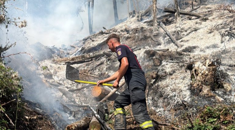  1 hectar de pădure arde mocnit pe raza comunei Bistrița Bârgăului