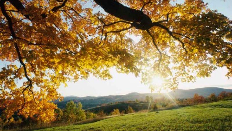  Prognoza meteo la început de săptămână în Bistrița-Năsăud