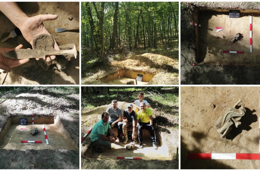  Piese de bronz de interes arheologic descoperite la Domnești de specialistii Complexului Muzeal Județean Bistrița-Năsăud. FOTO