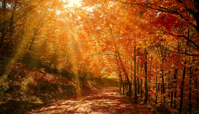  Luni, 22 septembrie, Ziua Echinocțiului de toamnă