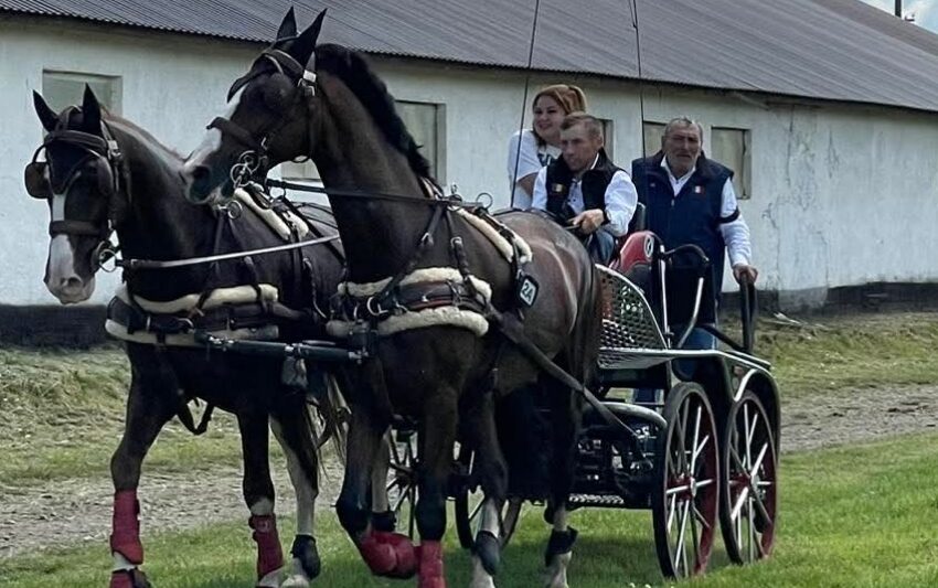  Echipajul Hergheliei Beclean, campion național la atelaje