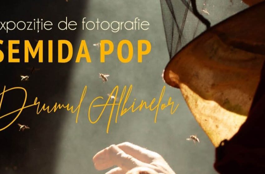  Expoziția de fotografie „Drumul albinelor” la Complexul Muzeal Bistrița-Năsăud