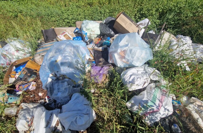  Bărbat din Beclean amendat pentru abandonarea deșeurilor pe malul Someșului