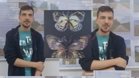  VIDEO-INTERVIU: Bogdan, tânărul care iubește fluturii precum niște frați mai mici: Vrea să-i știe liberi – „Nu au ce căuta în insectare, ei trebuie să zboare. Eu nu-i prind, le fac doar fotografii”