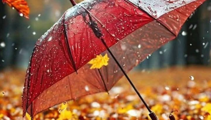  Ploi și vreme mohorâtă de toamnă până vineri în Bistrița-Năsăud