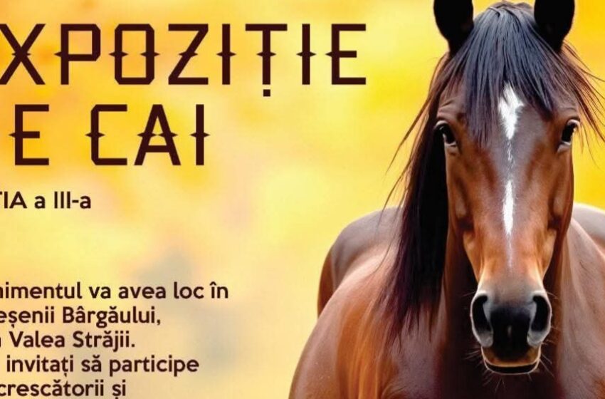  Sub semnul eleganței și al tradiției – Expoziția de Cai, Ediția a III-a, la Mureșenii Bârgăului