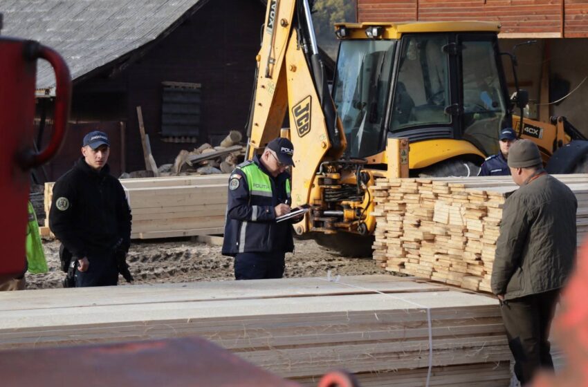  Acțiuni de amploare ale polițiștilor specializați în combaterea delictelor silvice, în colaborare cu jandarmi, specialiști ai Gărzii Forestiere și silvicultori, în județul Bistrița-Năsăud.