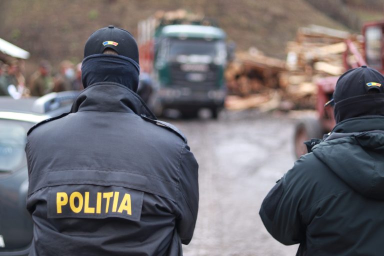  Mafia pădurilor, vizată de o amplă operațiune în Bistrița-Năsăud și Maramureș