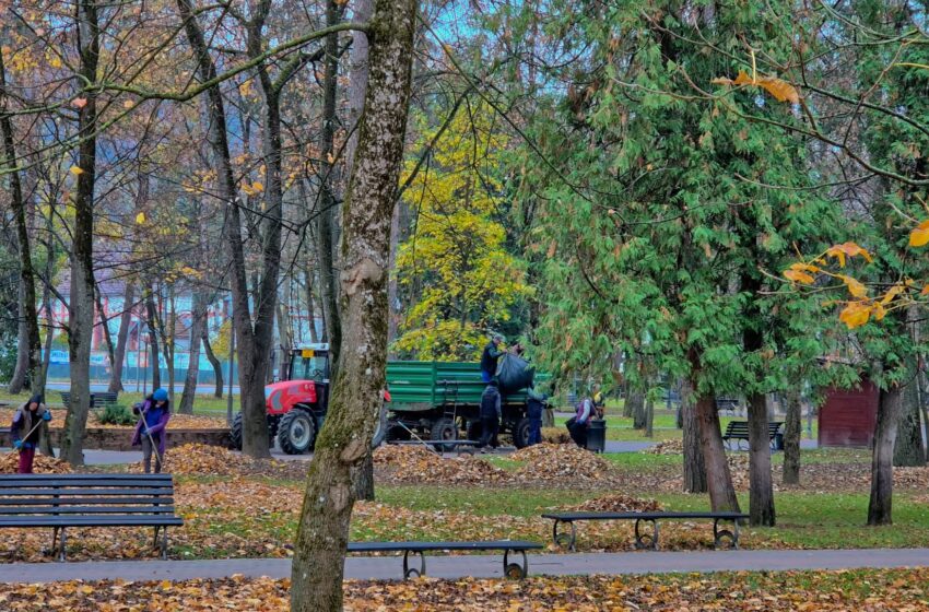  Lucrări programate în săptămâna 10-14 noiembrie de Primăria Bistrița