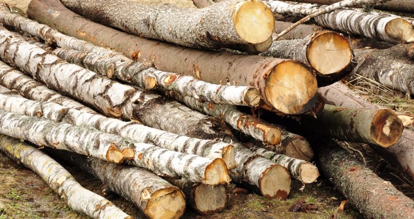  Bărbat prins transportând lemne fără acte, la volanul unui tractor neînmatriculat și fără permis