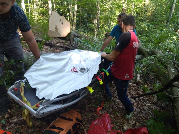  Un bărbat de 50 de ani a murit lovit de un copac într-o pădure dintre Uriu și Cristeștii Ciceului