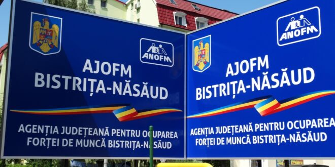  Angajări în creștere în județ: peste 2.200 de persoane au fost sprijinite de AJOFM Bistrița-Năsăud
