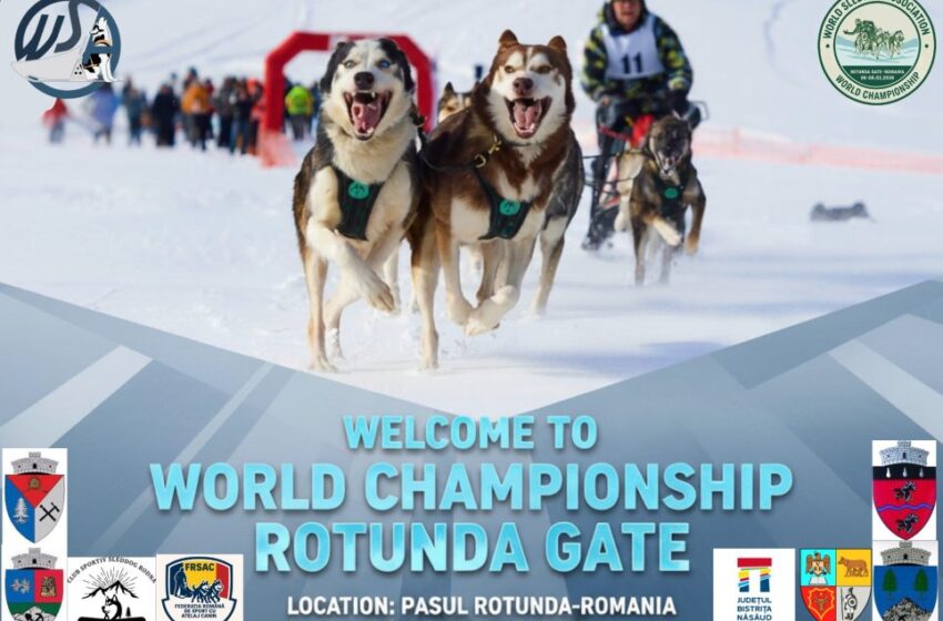  Campionatul Mondial de Atelaje Canine aduce spectacolul sporturilor de iarnă în Pasul Rotunda