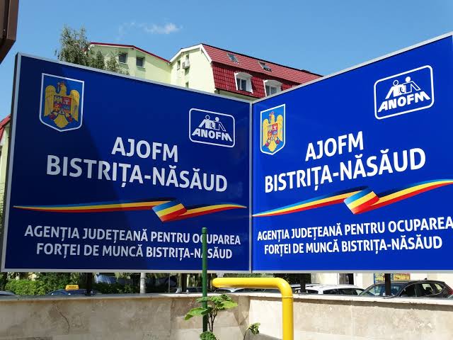  Oportunități de muncă la tot pasul: aproape 170 de joburi în județ și peste 240 în Uniunea Europeană