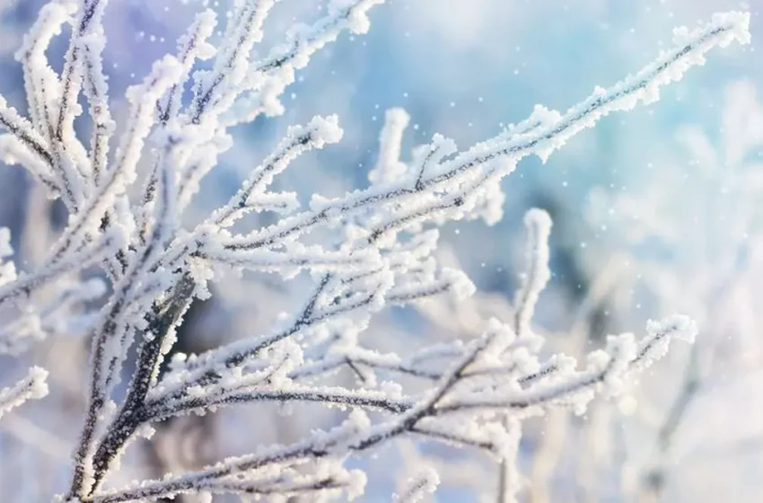  Val de frig peste Romania. ANM anunta ger, vânt și ninsori viscolite