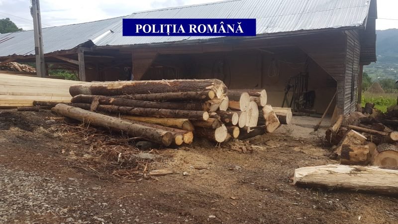  Controale silvice în Bistrița-Năsăud: 22.000 de lei amenzi și aproape 20 mc de lemn ridicați de polițiști
