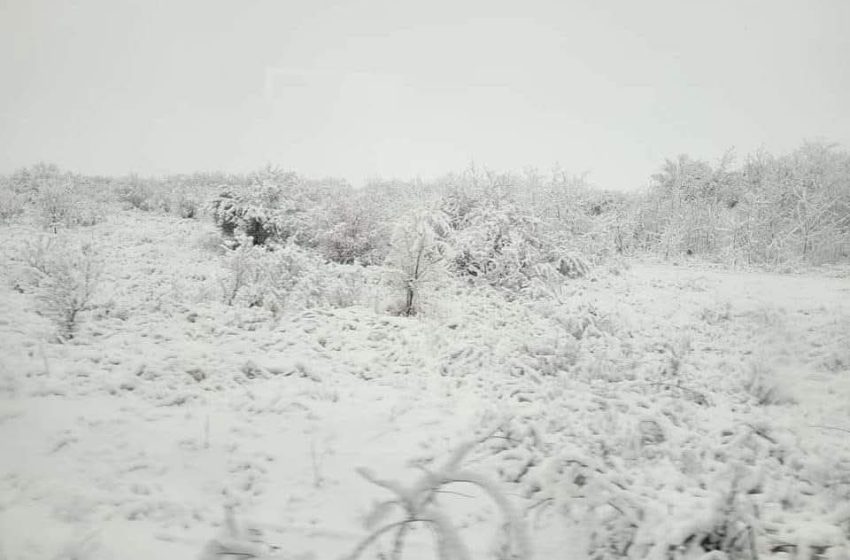  A început luna lui „Făurar” sau „Luna lupilor”