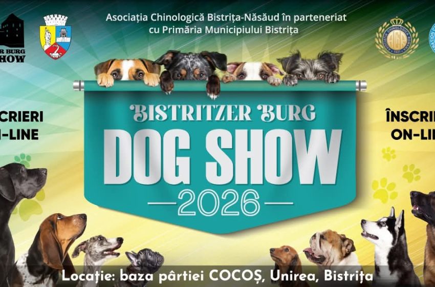  Bistrița devine capitala chinologiei în martie: patru competiții canine la Pârtia Cocoș