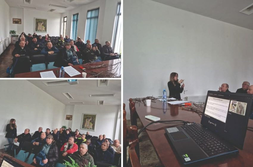  Lecție practică în livadă: Pomicultori din toată țara au învățat secretele tăierilor la SCDP Bistrița