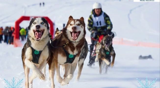  Festivalul Zăpezii revine la Rotunda Gate II: Două zile de competiții și distracție pe zăpadă