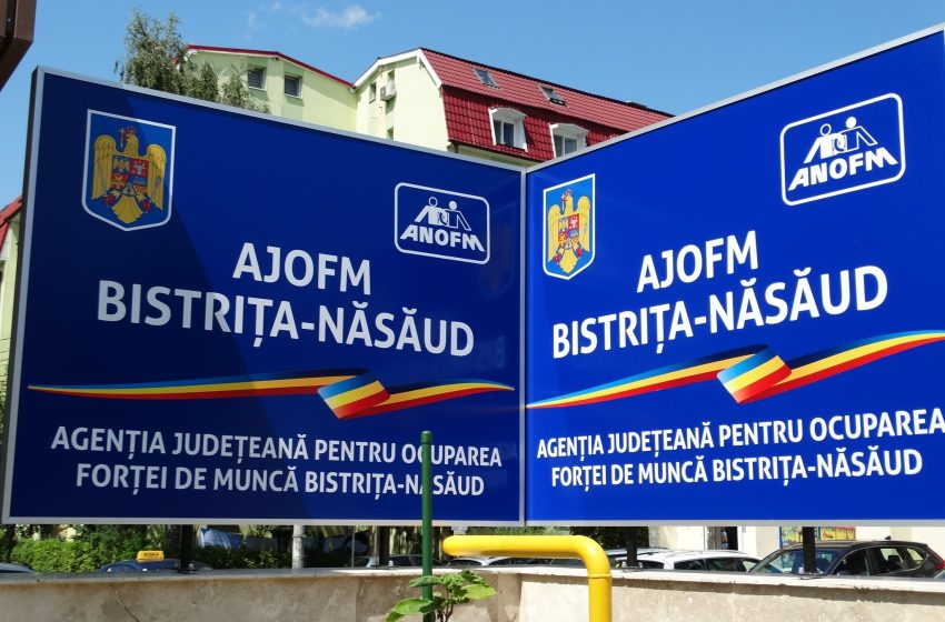  Șomaj în Bistrița-Năsăud: Rata urcă la 3,58% în ianuarie 2026, 170 de persoane și-au găsit un loc de muncă prin măsuri active