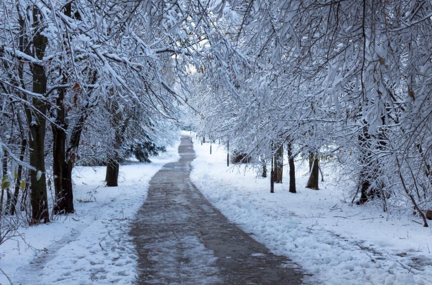  Iarna își intră din nou în drepturi: ger, ninsori și viscol în toată țara până joi dimineață