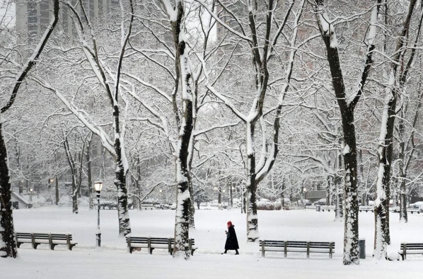  De la soare și 14 grade la ninsoare și frig: vremea o ia razna în weekend